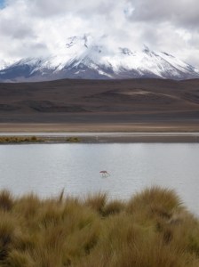 P1090445 (768x1024) (2)