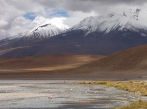 P1090510 (1024x768) (2)