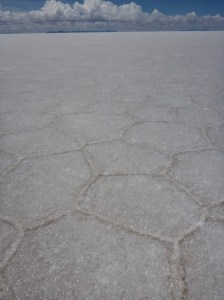 P1090999 (768x1024) (2)