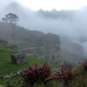 IMG_0947 (1024x1024)